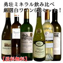 ソムリエ厳選 白ワイン贅沢飲み比べ 6本【厳選ヴィネクシオセレクト】金賞受賞酒 フランス白 6本 ワイン wine ワインセット 750ml×6