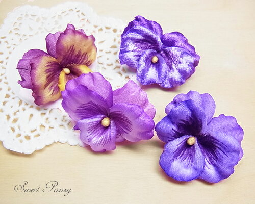 pW[iV[j[oth-flo-011]