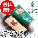【ヘアケアセット/無添加/オーガニック/送料無料】≪購入金額別特典あり≫■正規品■【ロゴナ(LOGONA)】 カラーケアシャンプー・コンディショナーセット (ヘアケアセット)/ヘアケア/ヘナ/天然/ナチュラル/ノンケミカル/自然