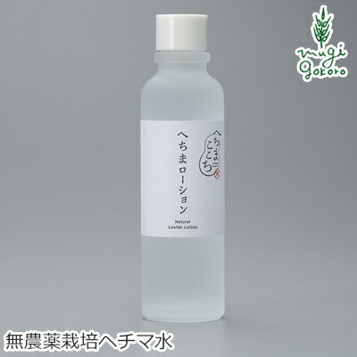 化粧水 無添加 <strong>へちまここち</strong> へちまローション 120ml 購入金額別特典あり オーガニック 正規品 敏感肌 天然 ナチュラル ノンケミカル 自然 無農薬