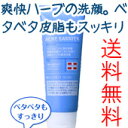 【石澤研究所】【メンズアクネバリア】メンズアクネバリア 薬用ウォッシュ 100g (洗顔料)<医薬部外品>【RCP】【楽ギフ_包装】【nikibi】