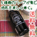 【ムクティ】シーマズヘアオイル　100ml　（ヘアオイル）【2sp_120810_green】