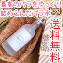 【ナイアード】朝摘みばら水　100ml (化粧水)【2011年度生産分】