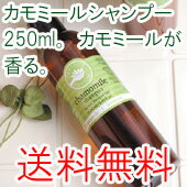 ̵ۡڥѡեȥݡۥߡ륷ס250mlʥסˡڥߡιȱۡsmtb-tk