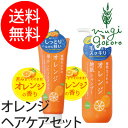 【ヘアケアセット/オーガニック/無添加/送料無料】≪購入金額別特典あり≫■正規品■【石澤研究所】【植物生まれ(オレンジ)】 植物生まれのオレンジ地肌シャンプーN 400ml、植物生まれのオレンジ果汁トリートメントN 250g のセット