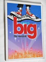 【中古】 1999年 公演パンフレット BIG 唐沢寿明 <strong>真矢みき</strong> 宝田明