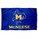 【中古】【輸入品・未使用】McNeese State Cowboys Collegeフラグ