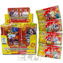 【国内未発売】PANINI Adrenalyn XL San...