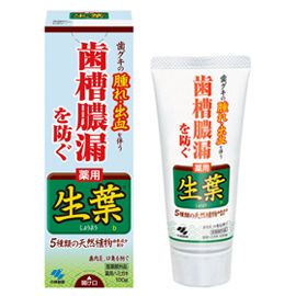 【小林製薬】生葉（しょうよう）【100g】【smtb-TD】【RCP】【医薬部外品】【腫れ】【出血】【シソーノーロー】