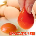 定番・人気「日の出たまご」に小分けで買える!嬉しいお試しセットが出来ました!●日の出たまご…12個(6個パック×2)●たまごスープ…3個