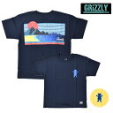 キッズ 半袖 Tシャツ GRIZZLY グリズリー VIEWS FROM THE BU YOUTH S/S TEE VIGR181Y11 FX1 C27