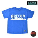 キッズ 半袖 Tシャツ GRIZZLY グリズリー STAMP YOUTH S/S TEE VIGR181Y2 FX1 C27