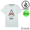 キッズ 半袖 Tシャツ VOLCOM ボルコム Shark Stone S/S Tee Youth C5711833 FX1 D2