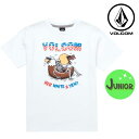 キッズ 半袖 Tシャツ VOLCOM ボルコム Natnal Spirit SSTYTH LY C3521806 FX2 F8