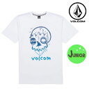 キッズ 半袖 Tシャツ VOLCOM ボルコム Surf Skull S/S T YTH BY C3521836 FX2 F8