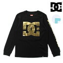 キッズ 長袖 Tシャツ DC ディーシー 7425J889 ジュニア (100cm〜160cm) FX3 H21