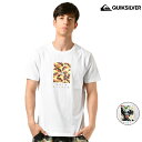 メンズ 半袖Tシャツ QUIKSILVER クイックシルバー QST191041 GX1 C20