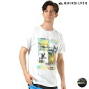 QUIKSILVER NCbNVo[ YOUNGER YEARS SS QLY201076 Y [eBeB  TVc bVK[h p HX1 E21