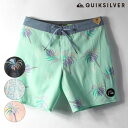 QUIKSILVER NCbNVo[ EQYBS04607 Y T[tpc gNX IX2 F10