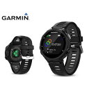 GARMIN/ガーミン ★【RDP付】161424 フォアア...