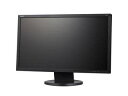 NEC フルHD対応21.5型ワイド液晶ディスプレイ 5年保証 LCD-L220W-BK ブラック 単品購入のみ可(取引先倉庫からの出荷のため) クレジットカード決済 代金引換決済のみ