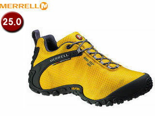 【nightsale】 MERRELL/メレル W83490 カメレオンII ストームゴアテックスXCR 【25.0cm】 (Yellow)