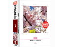 デネット 写真素材-桜編-