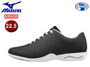 mizuno/ミズノ B1GF1739-09 ウエーブリム DT3 レディースウォーキングシューズ 【22.5】 (ブラック)