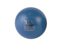 EVERNEW/エバニュー 砲丸(鉄)DX 男子検定EGC098