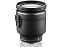 Nikon/ニコン 1 NIKKOR VR 10-100mm f/4.5-5.6 PD-ZOOM