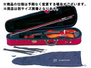 STENTOR/ステンター 【納期未定】初心者入門用 バイオリン SV-180 1/4 【弓・松脂・ライトハードケースセット!】 【豪華4点セット】【ビギナー向け】【STNSV】