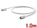 オヤイデ DST-75 R V2 (1.0m) 75Ω同軸デジタルRCAケーブル