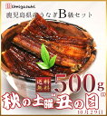 お歳暮ギフト 鹿児島県産 国産うなぎ B級品 訳あり 【500gセット】お取り寄せ 蒲焼き 丑の日 鹿児島鰻 送料無料 高級鰻 生産量全国1位 特賞 国産うなぎ蒲焼き