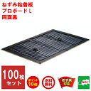 【クーポン配布中】 100枚セット ねずみ駆除 業務用 粘着シート プロボードL 両面黒 1ケース 粘着板 ネズミ 鼠 ネズミ粘着板 捕り 取り 撃退 ネズミ退治 退治 対策 屋根裏 あす楽対応 11月 楽天イーグルス感謝祭 39ショップ ポイント 消費 消化 領収書発行 エントリー