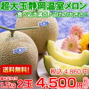 【送料無料】【お中元ギフト】【メロン】生産地ならで