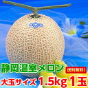 お中元 送料無料 メロン フルーツギフト生産地ならではのこだわりメロン大玉静岡温室メロン1.5kg×1玉(化粧箱入り)【北海道、沖縄、一部離島は別途500円】