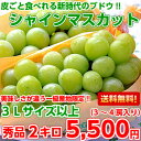 【送料無料】皮ごと食べれるブドウ♪美味しさが違う一級産地限定!!山梨産 大房シャインマスカット秀品3Lサイズ以上 2kg(3〜4房入り)【北海道・沖縄・一部離島は別途300円】