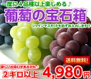 【送料無料】ブドウ好きなら見逃せない♪店長おすすめぶどうの詰め合わせ山梨・長野産ぶどうの宝石箱2kg【北海道・沖縄・一部離島は別途500円】