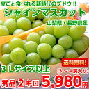 【送料無料】皮ごと食べれるブドウ♪山梨・長野産 大房シャインマスカット秀品3Lサイズ以上 2kg(3?4房入り)【北海道・沖縄・一部離島は別途500円】