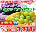 【送料無料】【冷蔵便】話題の品種が夢の競演!種がなく皮ごと食べられるブドウ♪ナガノパープル&シャインマスカット秀品3Lサイズ 約1キロ(2房入り)【北海道・沖縄・一部離島は別途500円】