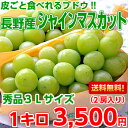 【送料無料】皮ごと食べれるブドウ♪長野産シャインマスカット秀品3Lサイズ 1kg(2房入り)【北海道・沖縄・一部離島は別途500円】