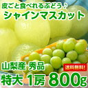 送料無料 シャインマスカット ぶどう大変貴重なビックサイズ!...