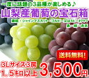 【送料無料】配送期間8/27〜9/10頃までブドウ好きなら見...