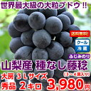 【送料無料】冷蔵便だから鮮度そのまま!ピオーネを進化させた世界最大級の大粒ブドウ希少品種!山梨産種なし藤稔(ふじみのり)大房 秀品3Lサイズ 約2kg(3〜4房入り)【北海道・沖縄・一部離島は別途300円】