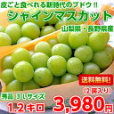 【送料無料】皮ごと食べれるブドウ♪山梨・長野産 大房シャインマスカット秀品3Lサイズ 1.2kg(2房入り)【北海道・沖縄・一部離島は別途500円】