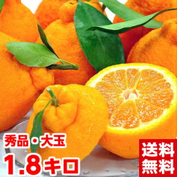 <strong>蒲郡</strong>産樹熟大玉<strong>デコポン</strong>1.8Kg（5〜8個）本物の美味しさを再発見!!北海道、沖縄・一部離島は発送不可