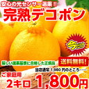 収穫ピークにつき緊急値下げ！！【送料無料】【光センサー】【訳...