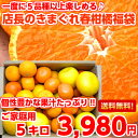 【送料無料】【訳あり】個性豊かな果汁たっぷり♪5種類以上の柑...