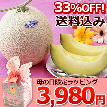 【送料無料】【母の日ギフト】【メロン】静岡が誇るマスクメロン...