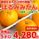 【送料無料】【はるみ みかん】中袋が薄くサクサクした食感が絶品♪本場清水の越冬完熟はるみみかん 青秀5kg【北海道・沖縄・一部離島は別途300円】